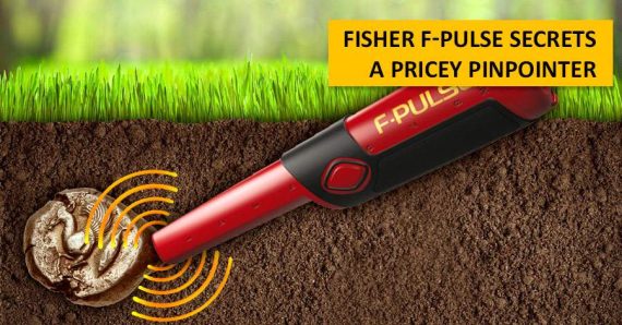 FISHER  F-PULSE