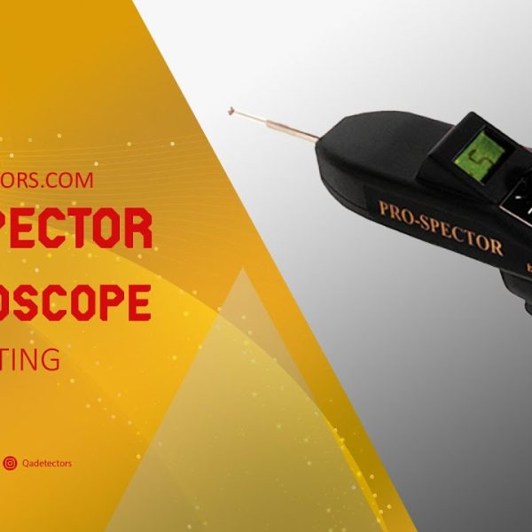 ELECTROSCOPE PRO-SPECTOR