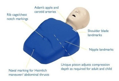 CPR PROMPT ADULT AZUL